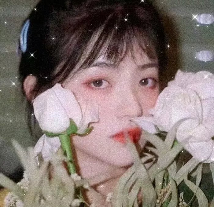 极南之地